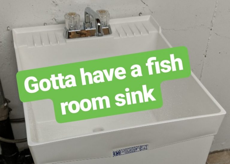 Fish Room Setup Phase 1: Sink Plumbing