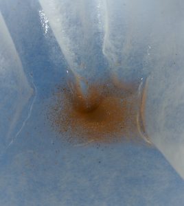 Baby Brine Shrimp in Coffee Filter