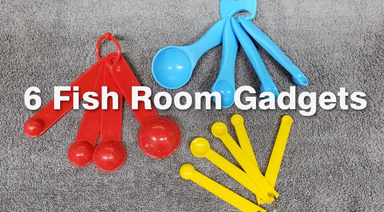 6 Gadgets Every Fish Room Needs