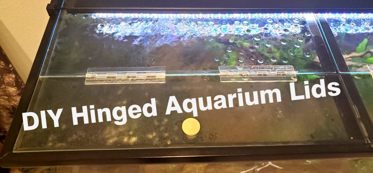 Glass Aquarium Lid